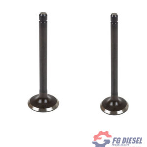 VALVE INLET & VALVE EXHAUST V2203 / S130